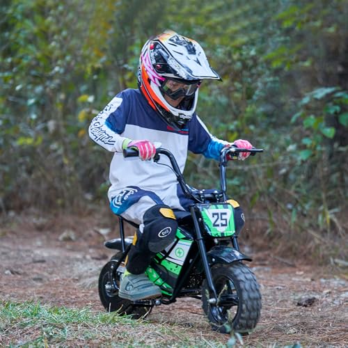 250W 24V 9Ah Electric Bike X91290