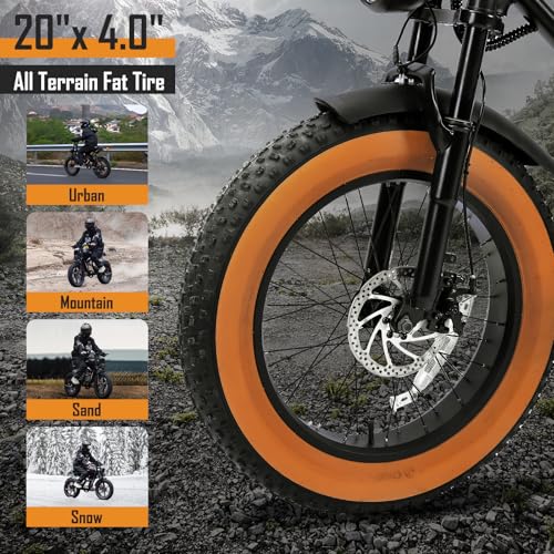 1000W 20" Fat Tire 48V 17.5AH Removable Battery Electric Bike V252