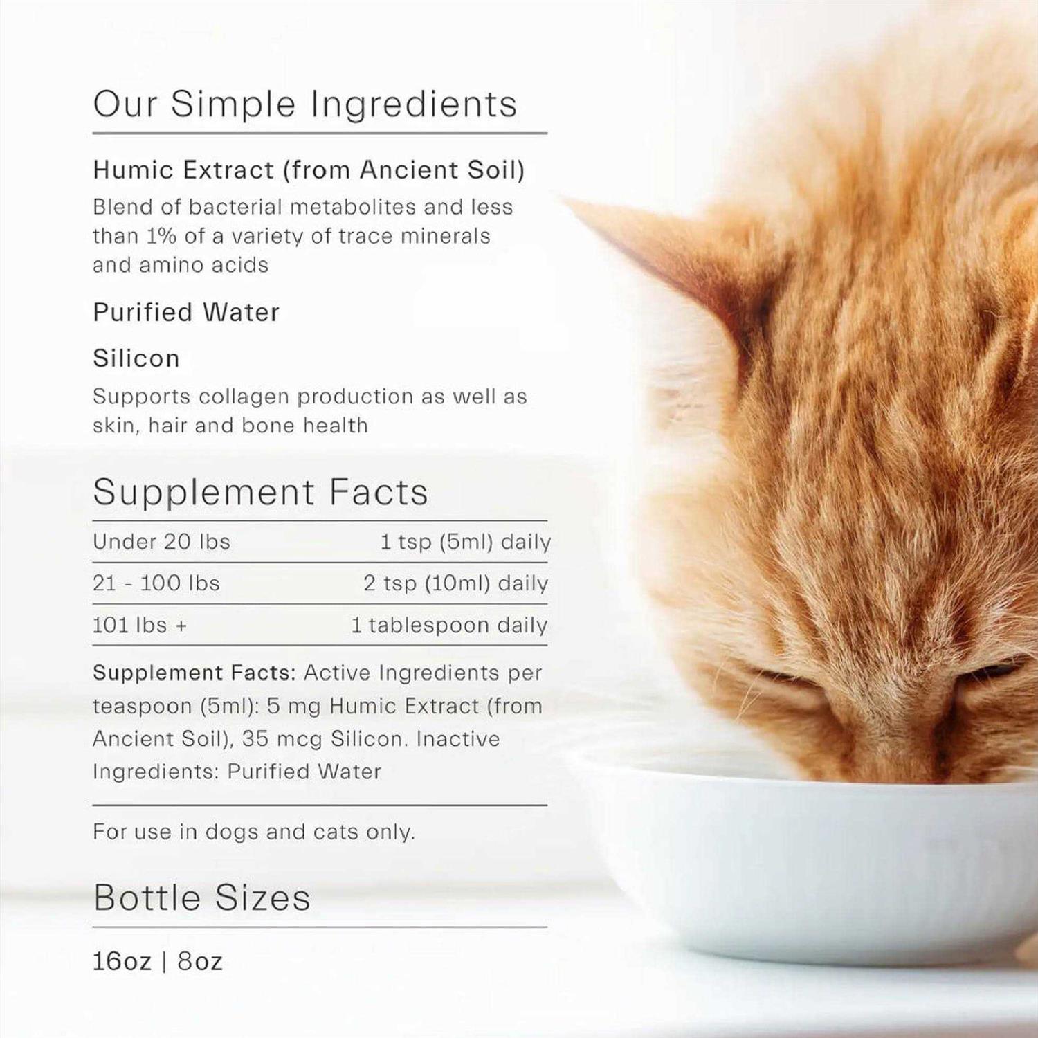 Gut Support For Pets M505