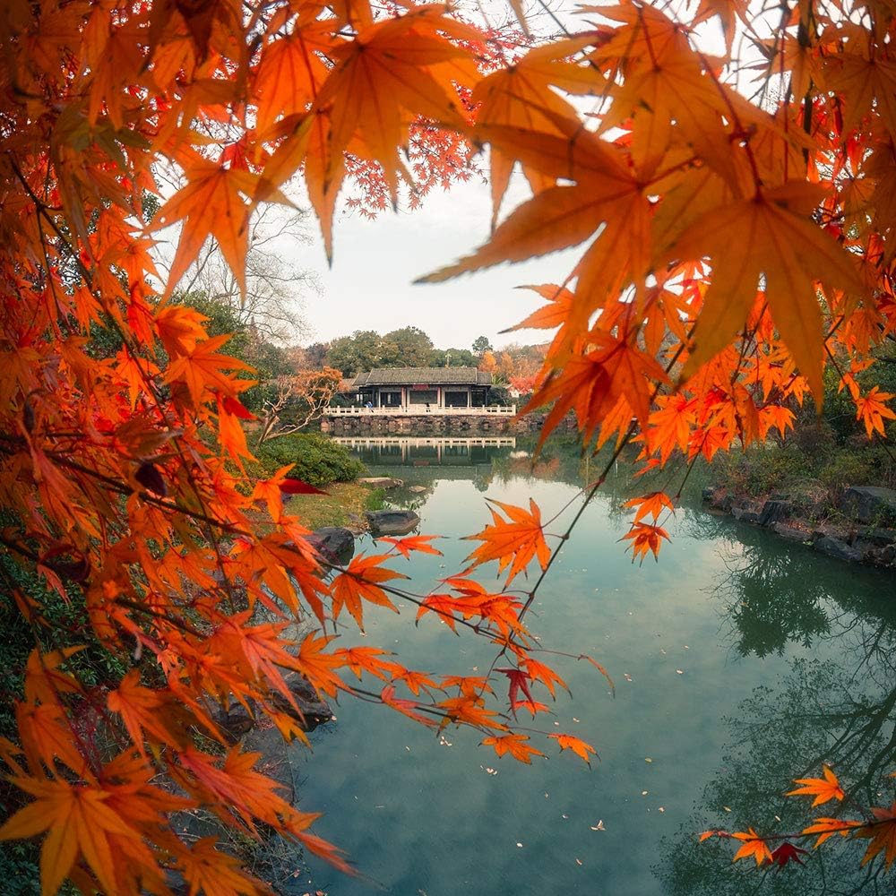 7.5mm F2.8 Fisheye Lens B892340