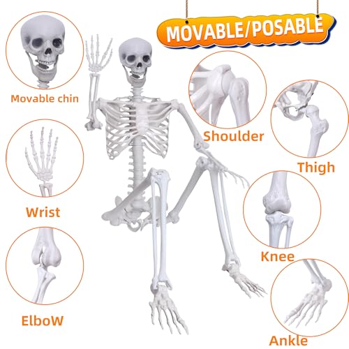 5.9Ft Posable Plastic Skeleton K969