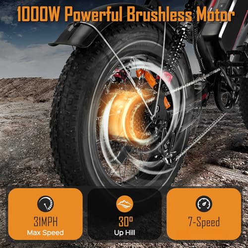 1000W 20" Fat Tire 48V 17.5AH Removable Battery Electric Bike V252