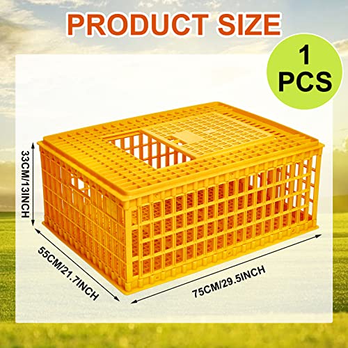 Plastic Poultry Carrier Crate for 13 Adult Chickens, 29.5 x 21.7 x 13 Inch F703656