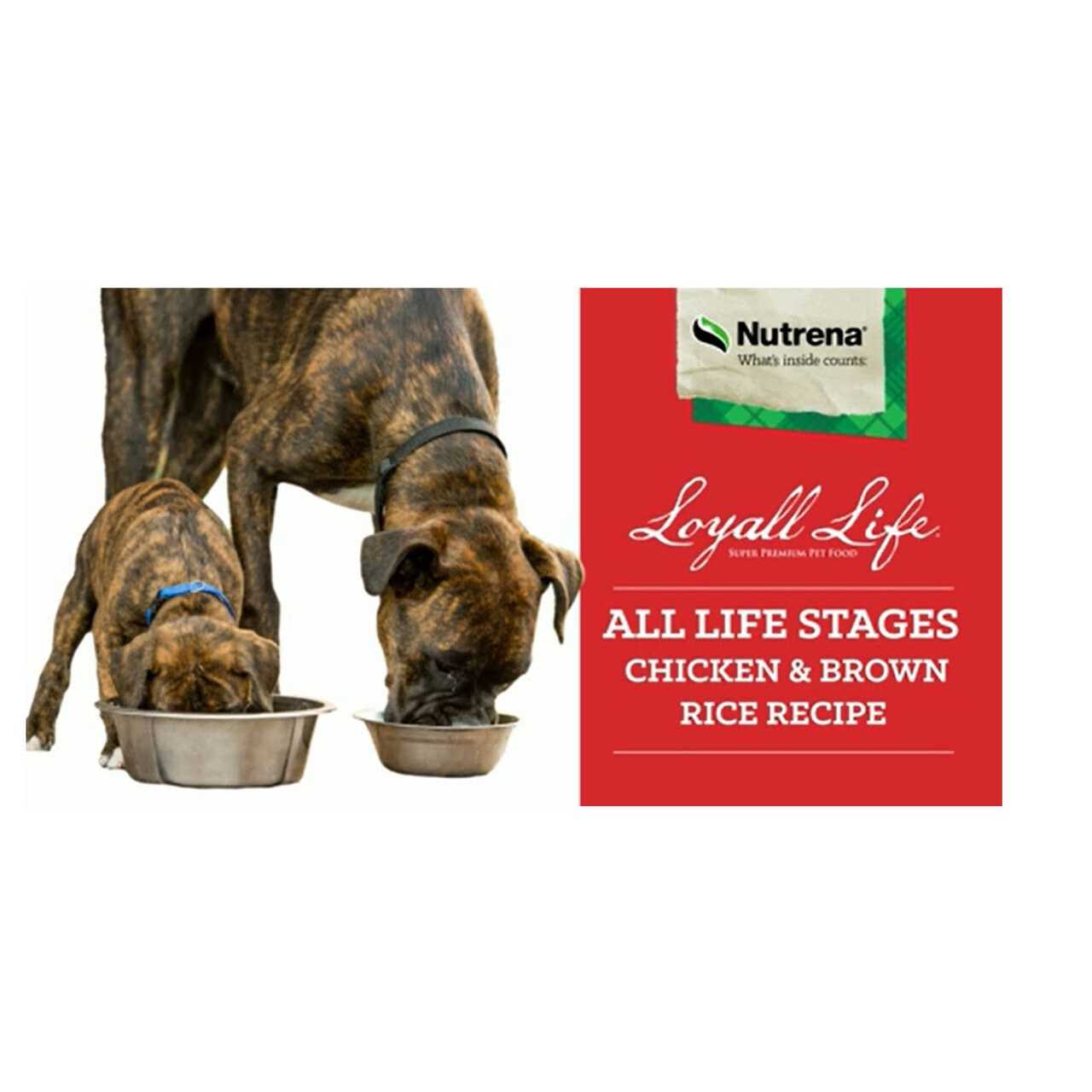 All Life Stages Chicken Brown Rice Dog Food F325883