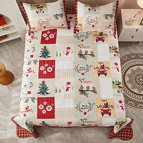 White Queen Christmas Quilt Bedspread Set T203285