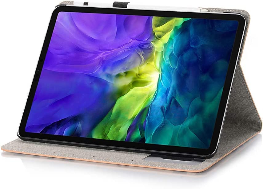 Case for iPad Pro 9.7 Inch with Card Slots Z9059