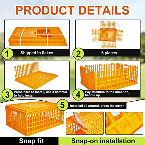 Plastic Poultry Carrier Crate for 13 Adult Chickens, 29.5 x 21.7 x 13 Inch F703656