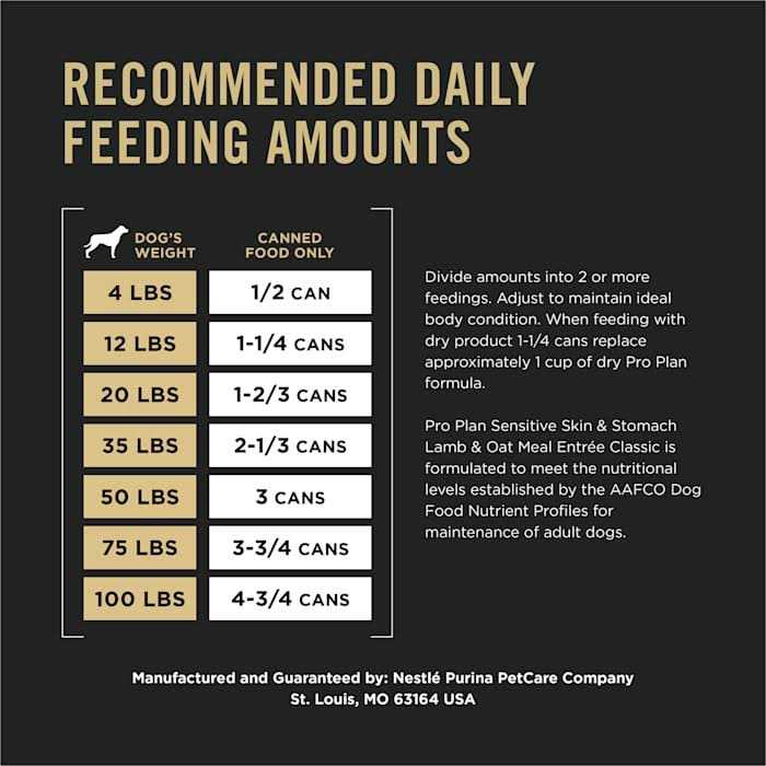 Wet Dog Food Pate Lamb and Oat Meal Entree B10977