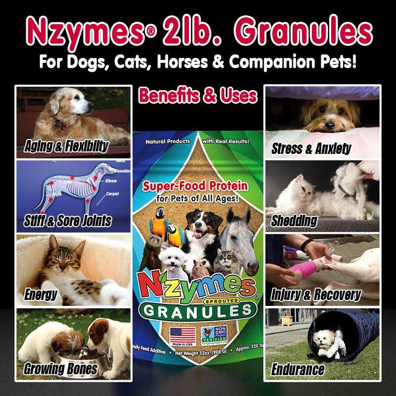 Nzymes Granules Pets L445