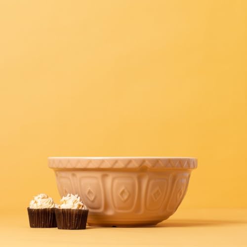 Beige 29 cm Earthenware Mixing Bowl F2941