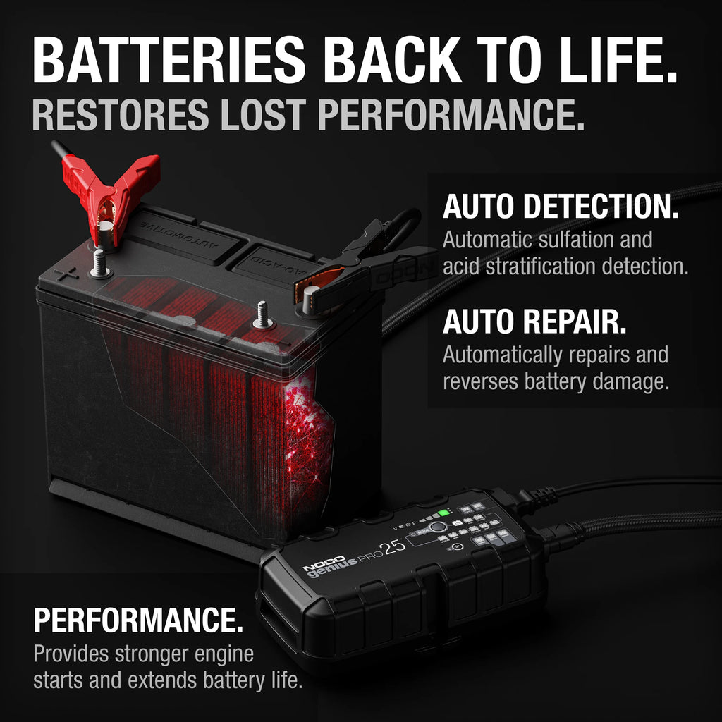 25A 6V/12V/24V Smart Battery Charger and Maintainer K353071