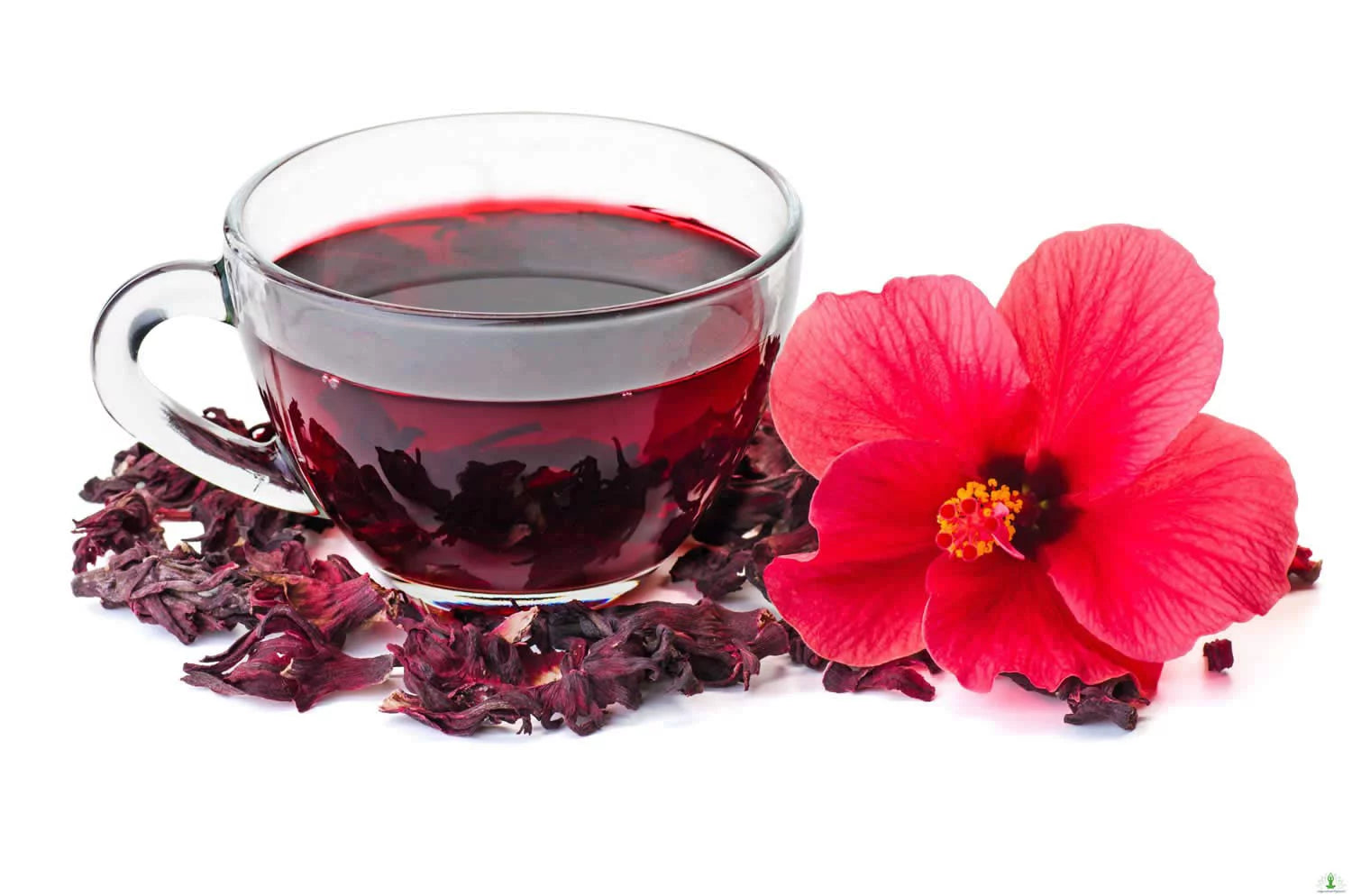 16 oz Cut & Sifted Dried Hibiscus Flower Tea P5944