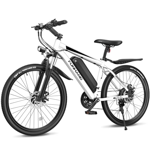 26'' 1000W Peak Electric Mountain Bike with 48V 374.4WH Removable Battery, 21-Speed D280