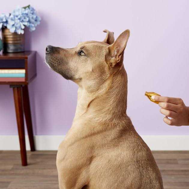 Essential 6 Spot-On Dogs P805716