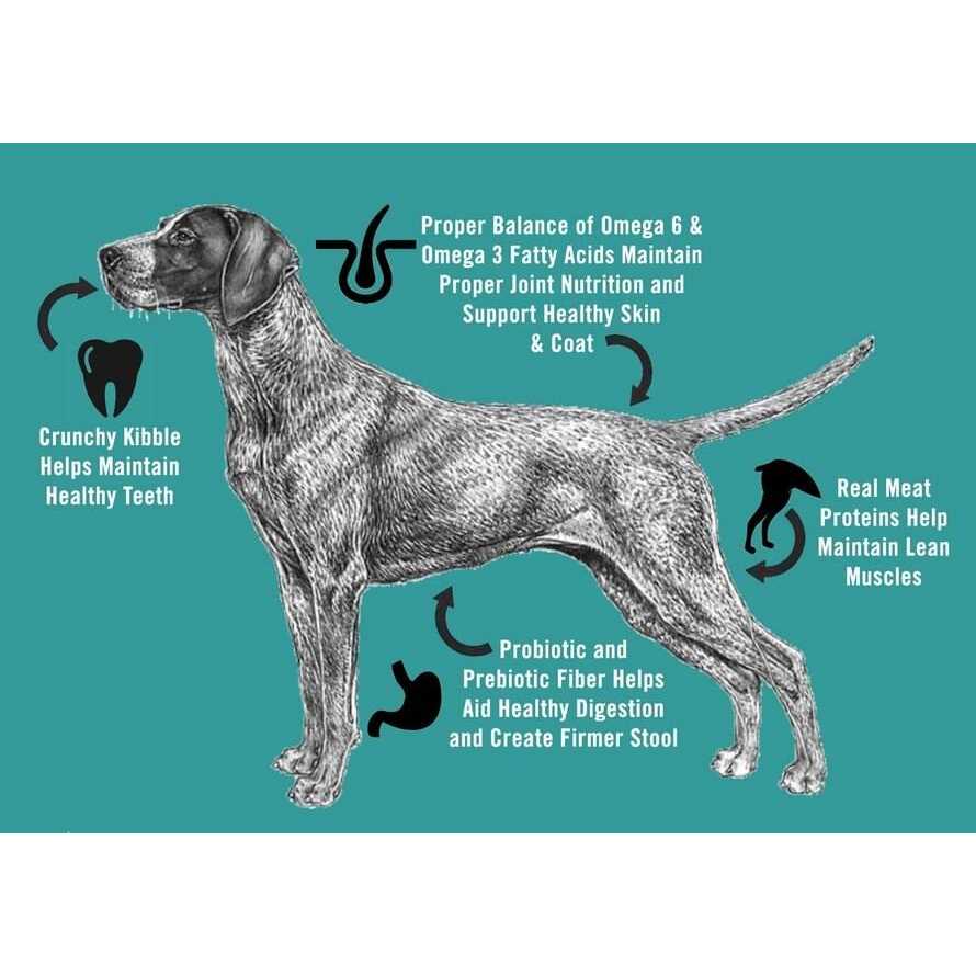 Adult Dry Dog Food E240