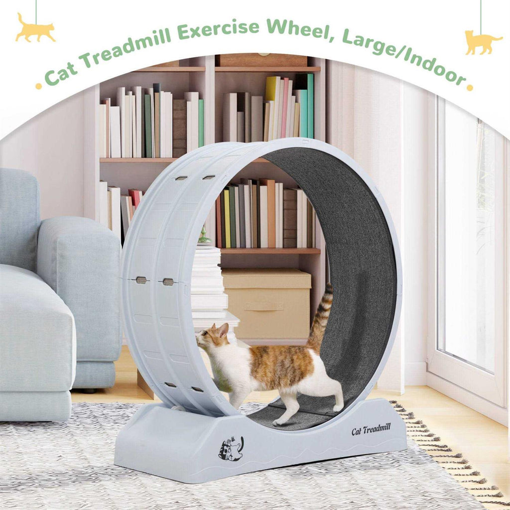 31.5L Cat Exercise Wheel with Locking Mechanism X551048
