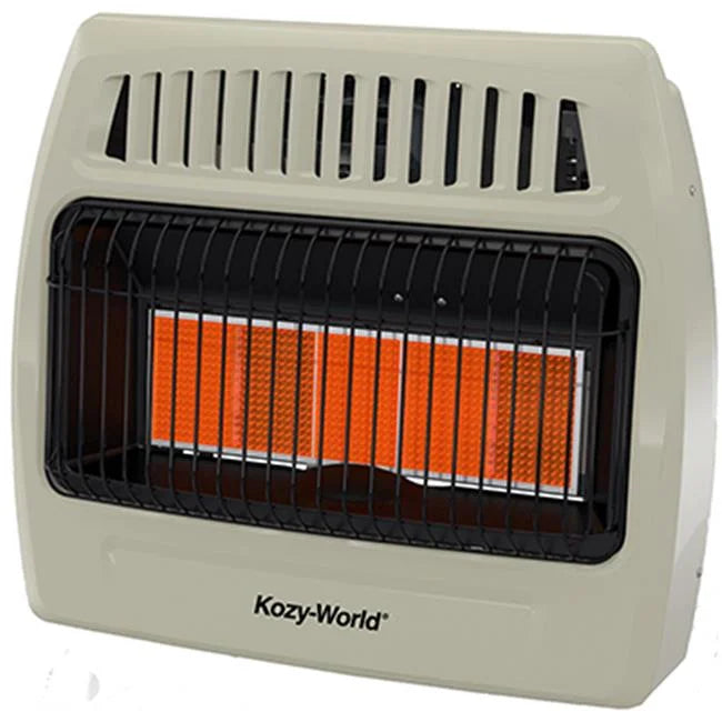 30,000 BTU Infrared Liquid Propane Gas Wall Heater I59453