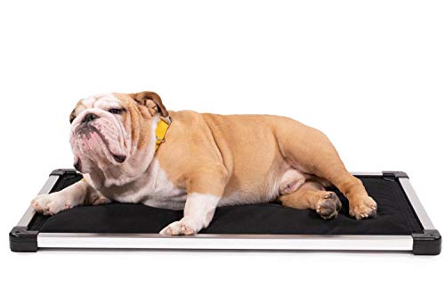 Chew Proof Padded Dog Crate Pad Mat, Small Size, Water Resistant, Sandstone D5030