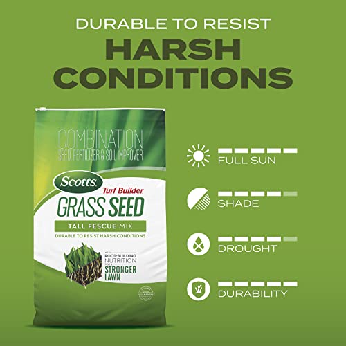 Tall Fescue Grass Seed Mix with Fertilizer and Soil Improver, 5.6 lbs. W8563