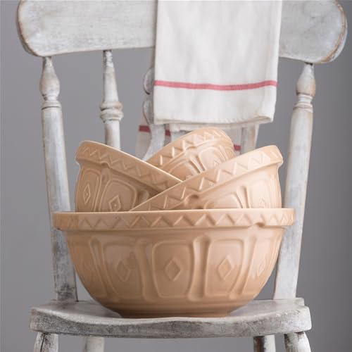 Beige 29 cm Earthenware Mixing Bowl F2941