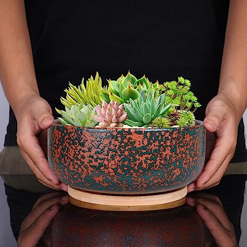 8 Inch Terracotta Planter with Drainage Hole and Bamboo Saucer A515170