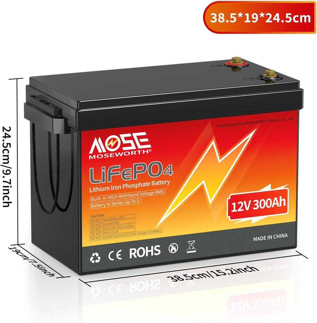 300Ah 12V Lithium Battery 200A BMS C77880