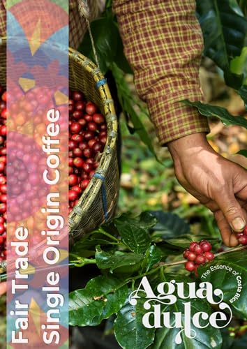 Ground Coffee 100% Arabica Single Origin Honey Process 12oz K29118