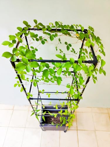 2 Pack 63" Large Outdoor Garden Planter Box with Trellis and Caster I1281