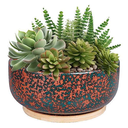 8 Inch Terracotta Planter with Drainage Hole and Bamboo Saucer A515170