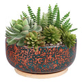 8 Inch Terracotta Planter with Drainage Hole and Bamboo Saucer A515170