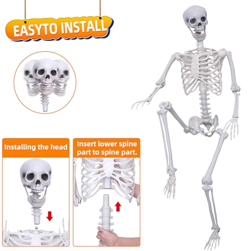 5.9Ft Posable Plastic Skeleton K969