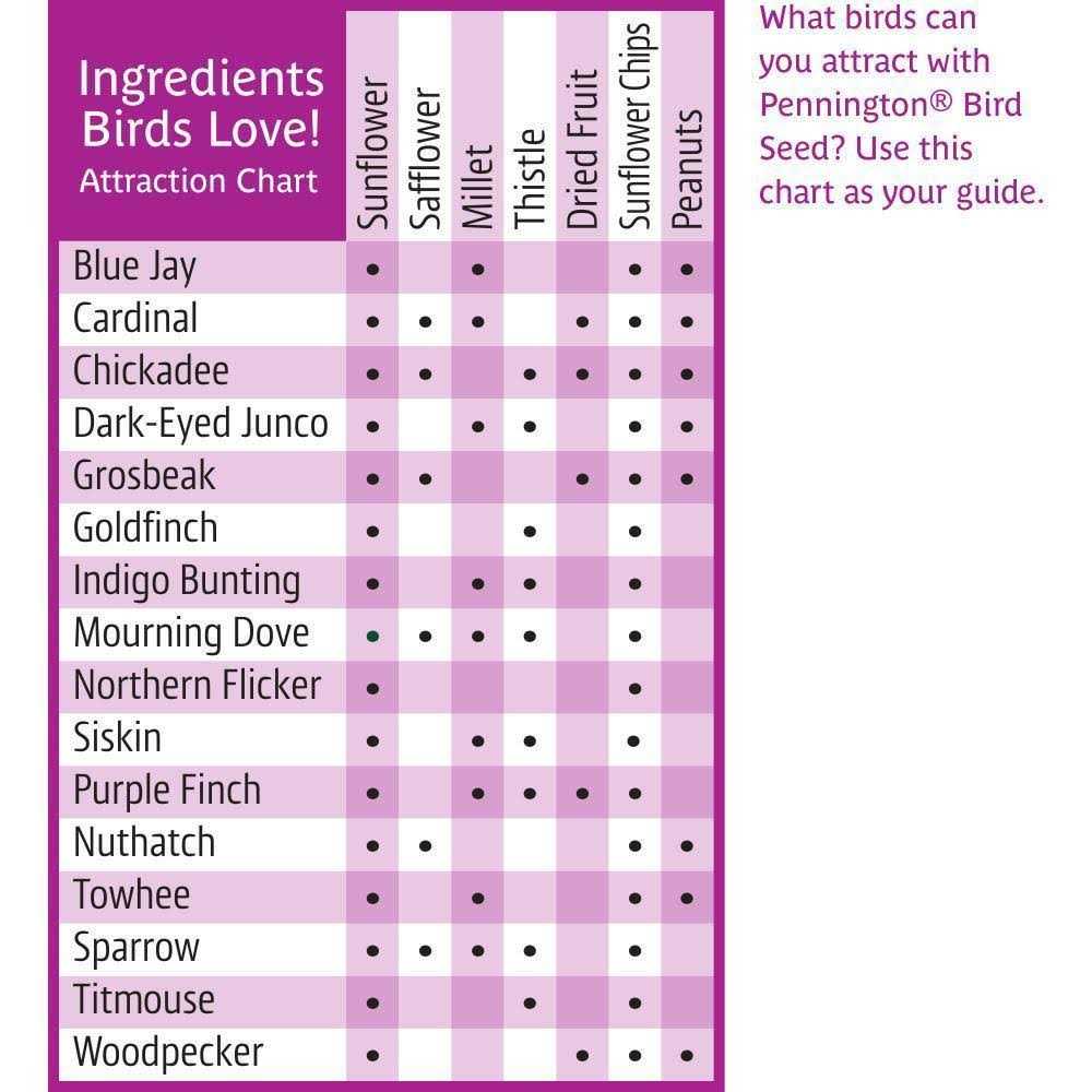 Ultra Fruit & Nut Blend Wild Bird Seed and Feed Y62876