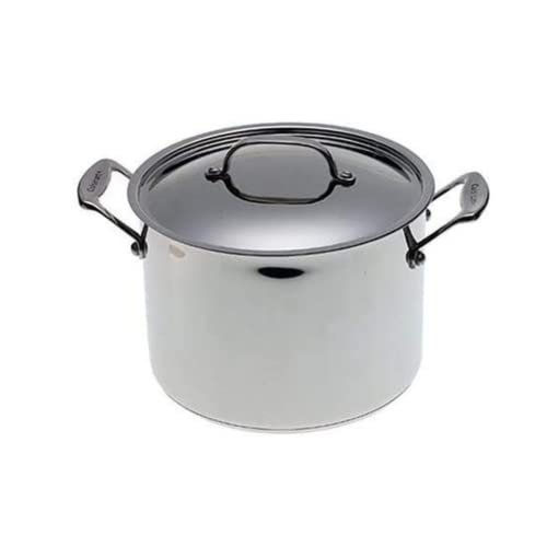 8-Quart Stainless Steel Stockpot with Cover Y5276