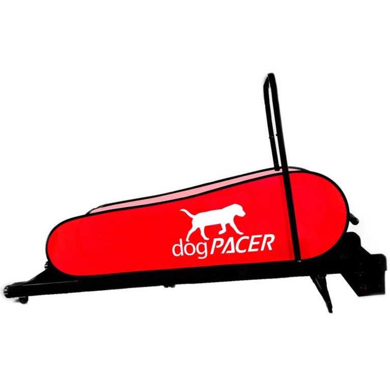 Dog Treadmill R4121