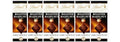 Roasted Hazelnut Dark Chocolate Bar, 6 Pack I925