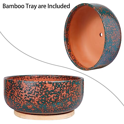 8 Inch Terracotta Planter with Drainage Hole and Bamboo Saucer A515170