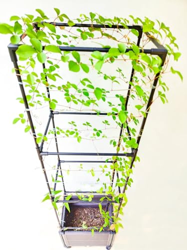 2 Pack 63" Large Outdoor Garden Planter Box with Trellis and Caster I1281