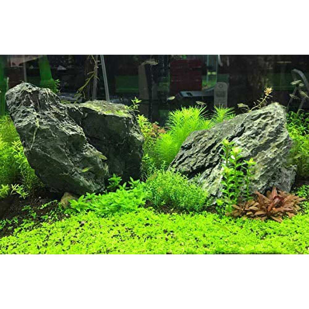 Flourish Tabs Seachem T90975