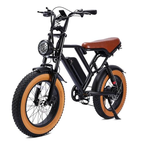 1000W 20" Fat Tire 48V 17.5AH Removable Battery Electric Bike V252
