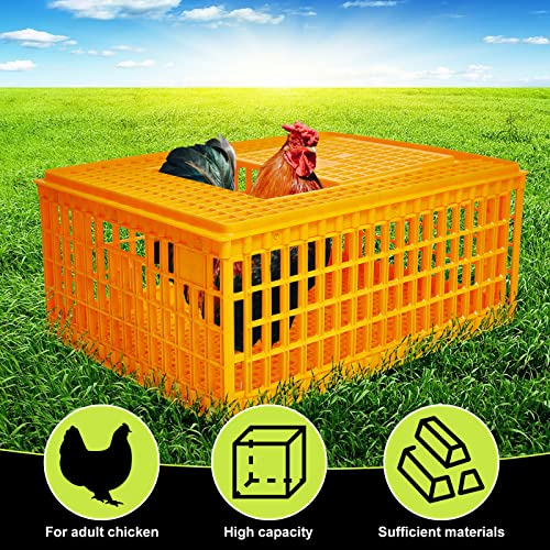 Plastic Poultry Carrier Crate for 13 Adult Chickens, 29.5 x 21.7 x 13 Inch F703656