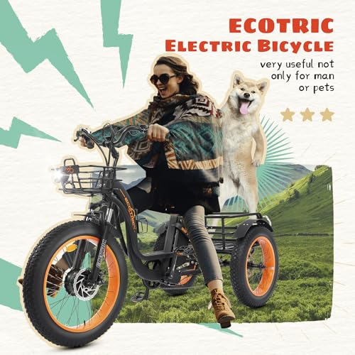 Electric Tricycle, Fat Tire 750W 48V 22.4AH Removable Battery, 7 Speeds 3 Wheel Electric Trike with Basket X3905