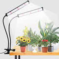 6000K Full Spectrum Clip Plant Growing Lamp with White Red LEDs, 5-Level Dimmable, Auto On Off Timing 4 8 12Hrs U634