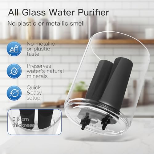 2.25 Gallon Glass Water Filter with Stand W3412