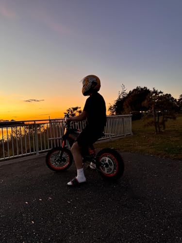 Electric Dirt Bike 2000W, 37MPH Speed, 14"/12" Fat Tires Electric Motorcycle, 48V 21AH Battery L789818