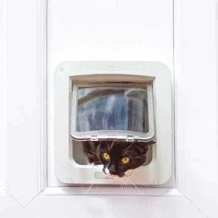 Microchip Pet Door Connect O582
