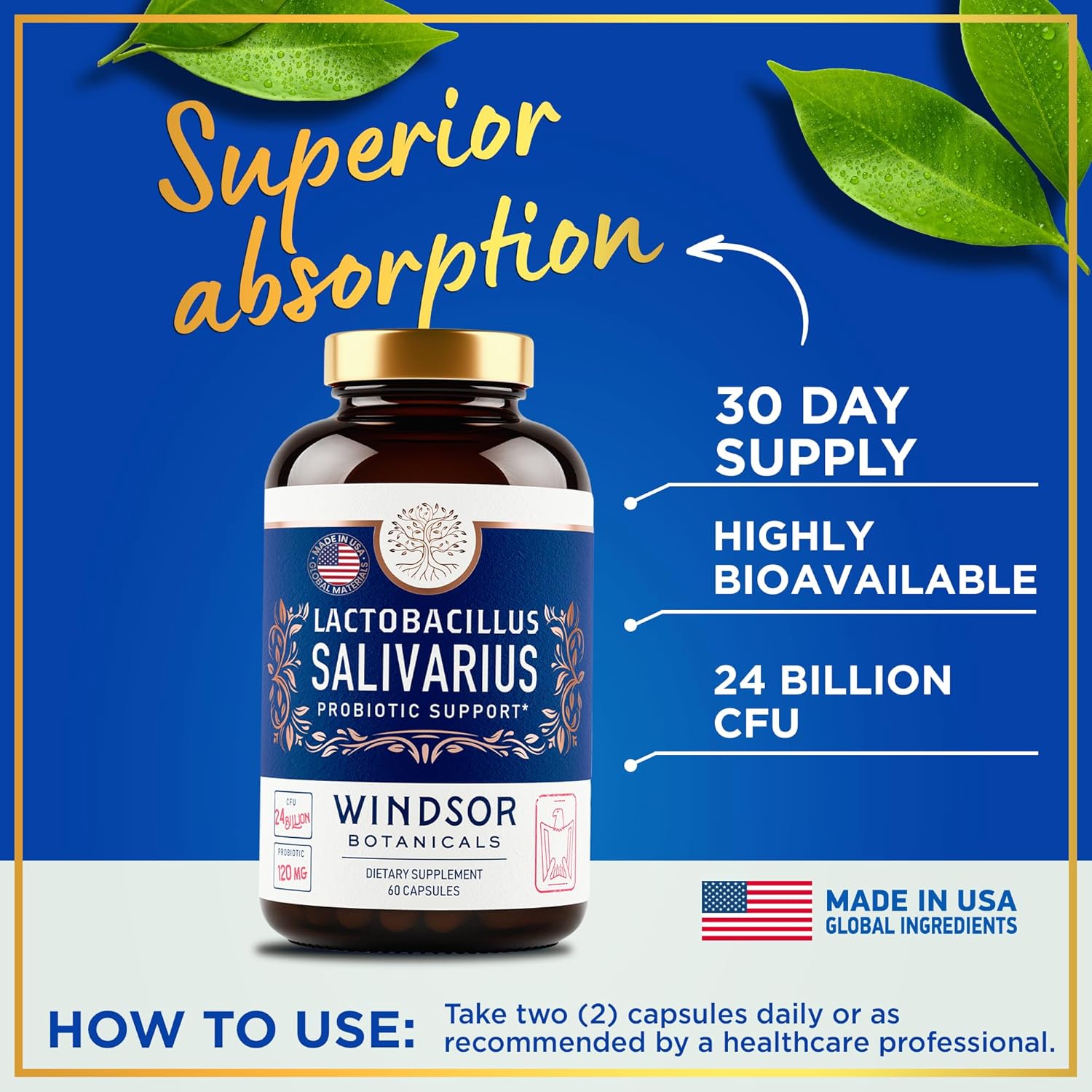 Lactobacillus Salivarius Probiotic Capsules, 24bn CFU, 2-Pack 120 Caps L236