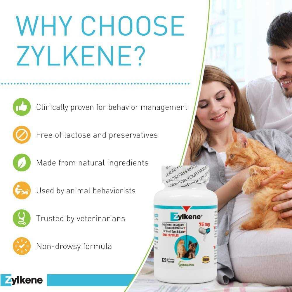Pet Supplies Q648493