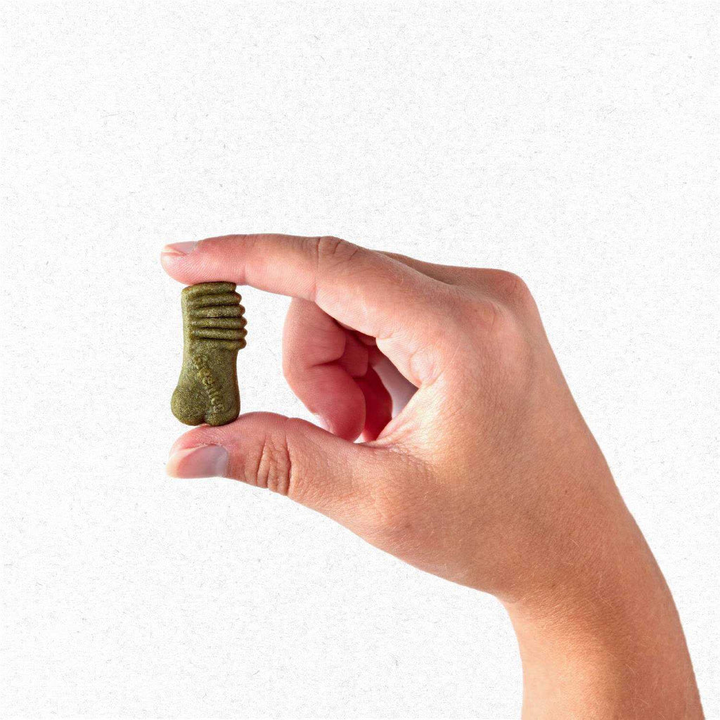 Greenies Anytime Bites Dog Treats X531194
