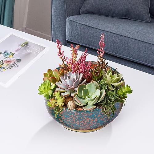 8 Inch Terracotta Planter with Drainage Hole and Bamboo Saucer A515170